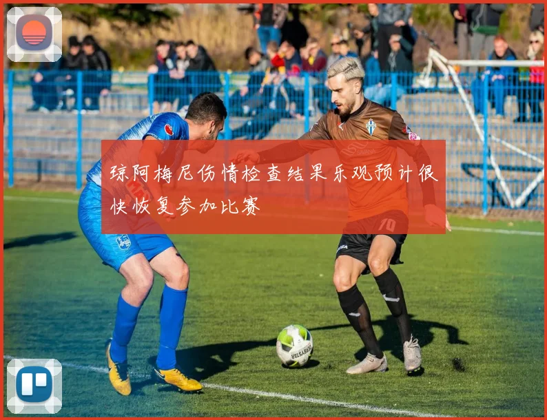 琼阿梅尼伤情检查结果乐观预计很快恢复参加比赛