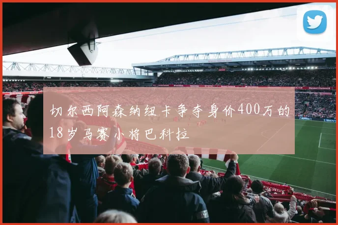 切尔西阿森纳纽卡争夺身价400万的18岁马赛小将巴科拉