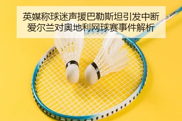 英媒称球迷声援巴勒斯坦引发中断 爱尔兰对奥地利网球赛事件解析 - BOWWAYSPORTS